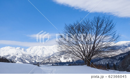 白馬村の冬景色 白馬村の冬景色 62366045