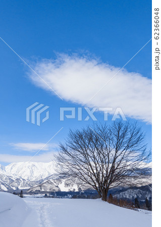 白馬村の冬景色 白馬村の冬景色 62366048