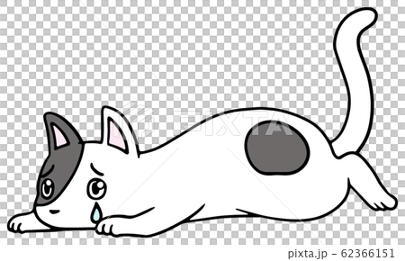 倒れた猫のイラスト 黒ぶち 泣き顔のイラスト素材