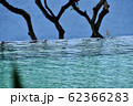 心からリラックスバリ 62366283