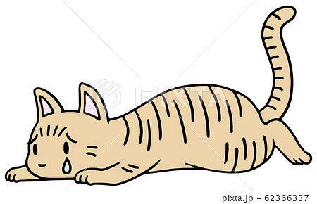 倒れた猫のイラスト 茶トラ 泣き顔のイラスト素材 倒れた猫のイラスト 茶トラ 泣き顔のイラスト素材