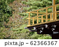 金閣寺 62366367