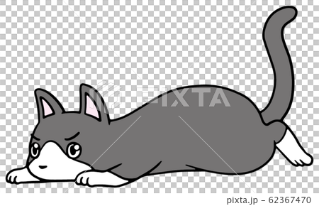 倒れた猫のイラスト(ハチワレ)_怒り顔 62367470