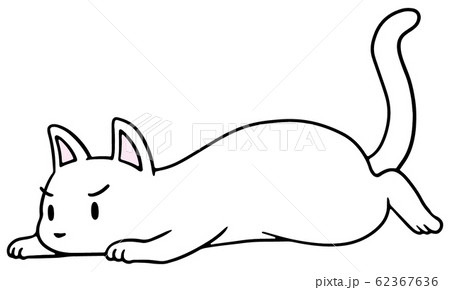 倒れた猫のイラスト 白 怒り顔のイラスト素材 62367636 Pixta