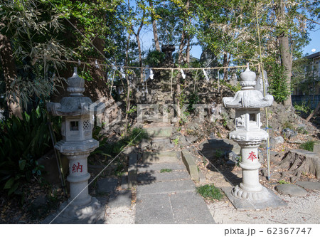 島根氷川神社　境内　さいたま市西区 62367747