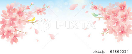 春の花 桜 Spring Cherry Blossom Backgroundのイラスト素材