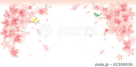 春の花　桜　spring cherry blossom　background 62369036