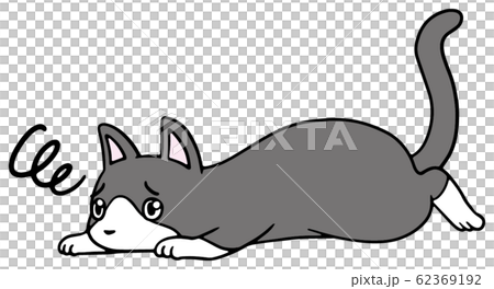 Illustration of a fallen cat (beetle) _ troubled face 62369192