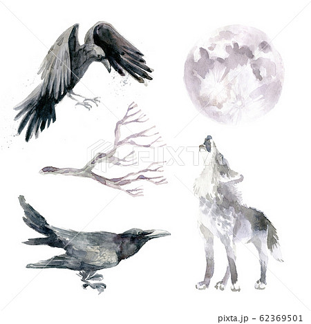 Watercolor Gloomy Clipart Collection Wild のイラスト素材