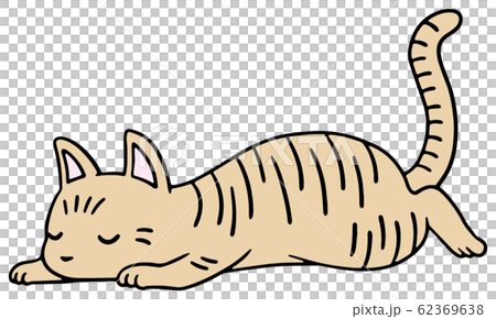 倒れた猫のイラスト 茶トラ 眠り顔のイラスト素材