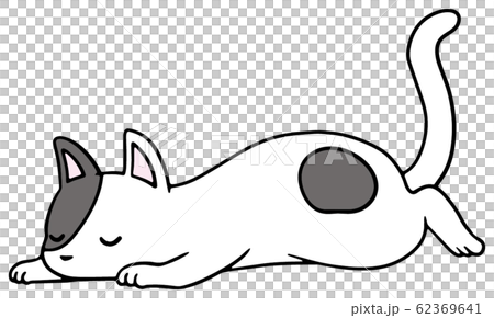 Illustration of a fallen cat (black spot) _ sleeping face 62369641