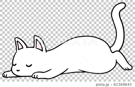 Illustration of a fallen cat (white) _ sleeping face Illustration of a fallen cat (white) _ sleeping face 62369643