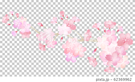 素材-パーツ-桜-枝-春-和-和風-和柄-和紙-日本 62369962
