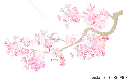 素材 パーツ 桜 枝 春 和 和風 和柄 和紙 日本のイラスト素材