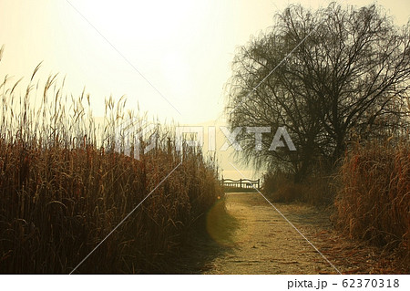 足 橋 ブリッジ 62370318