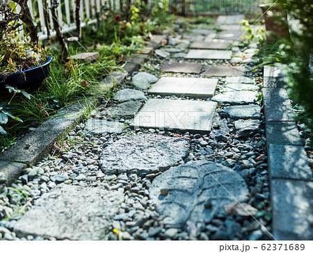 イメージフォト イメージフォト 62371689