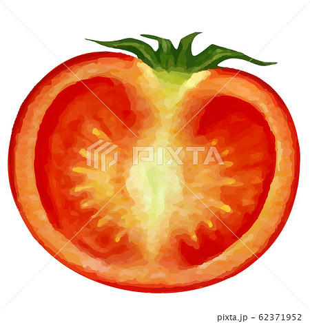 トマト とまとの断面のイラストのイラスト素材 62371952 Pixta