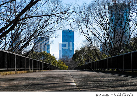 代々木公園から見る渋谷 代々木公園から見る渋谷 62371975