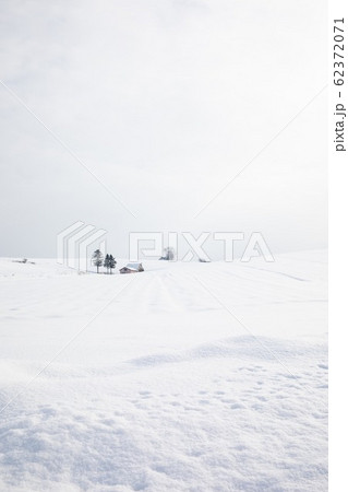 冬の美瑛　赤い屋根のある丘 62372071