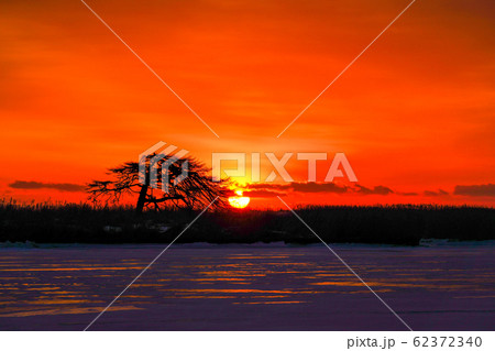 日の出を迎えた本別海一本松　”別海町” 62372340