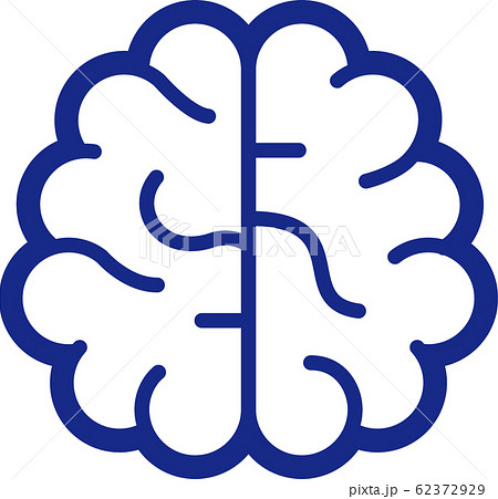 脳イラストアイコン 62372929