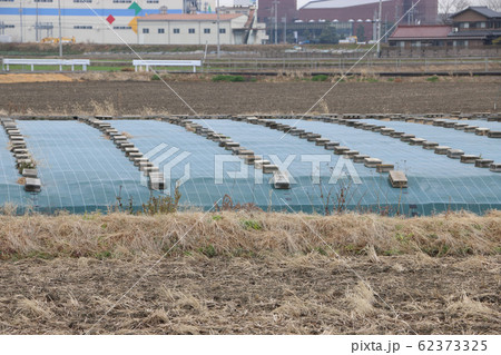 防草シート 62373325