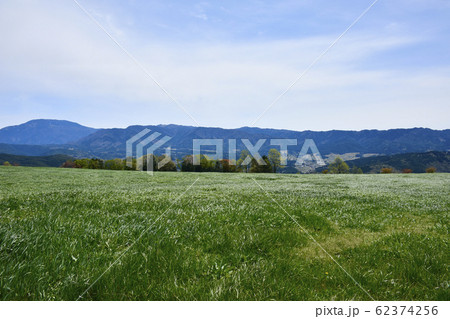 岐阜県恵那市　東濃牧場 62374256
