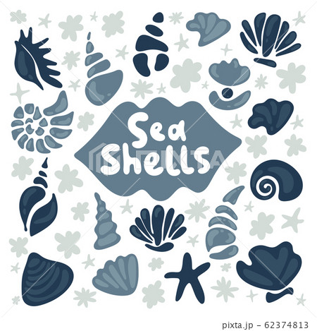 Shell Collection Vector Cartoon Silhouette のイラスト素材