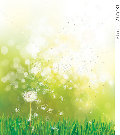 Vector spring green background.のイラスト素材 [62375431] - PIXTA