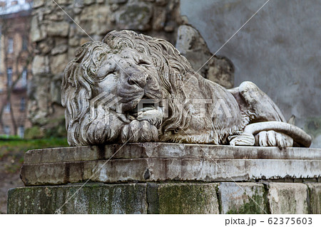 A stone sculpture of a lion 62375603