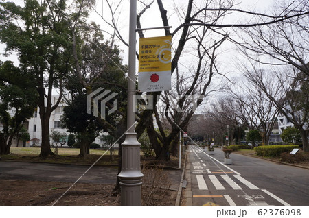 千葉大学 62376098