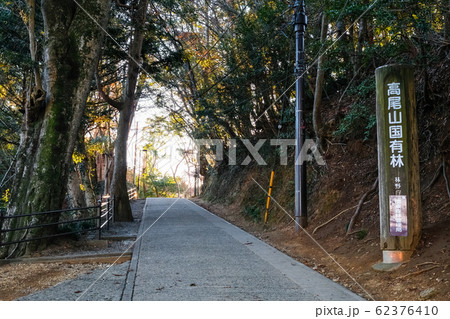 高尾山 1号路 62376410