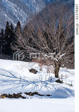 白馬村の冬景色 白馬村の冬景色 62376807