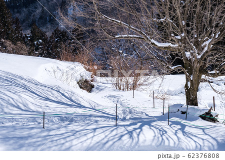 白馬村の冬景色 白馬村の冬景色 62376808