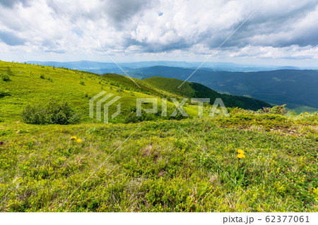 green meadows in mountains with clouds on the sky green meadows in mountains with clouds on the sky 62377061