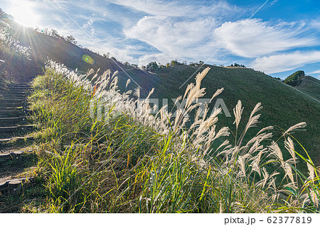秋の曽爾高原を散策する 62377819