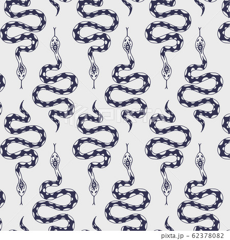 Blue snake vector pattern.  62378082