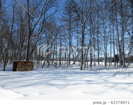 北海道の雪景色　木立 62378971
