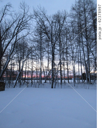 雪景色　木立の朝焼 62378997