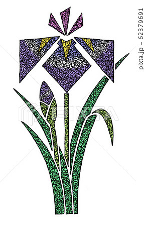 しょうぶ 62379691