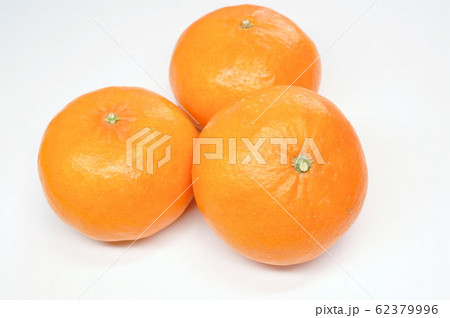 はまさきみかん はまさきみかん 62379996