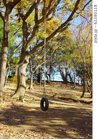 タイヤぶらんこ 62380118