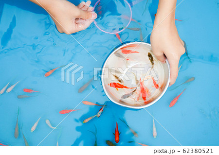 Image Of Goldfish Scooping For Summer Festival Stock Photo