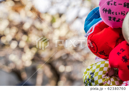 大黒山 金剛寺(八坂庚申堂)の梅の花 大黒山 金剛寺(八坂庚申堂)の梅の花 62380760