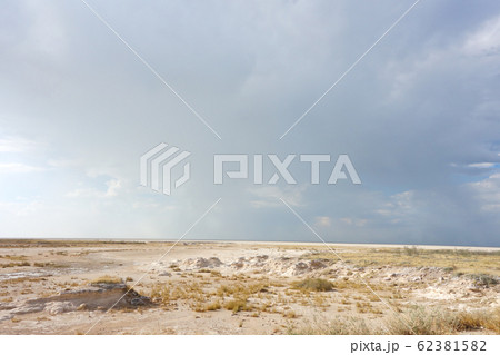 Etosha landscape Etosha landscape 62381582