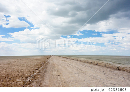 park Etosha park Etosha 62381603