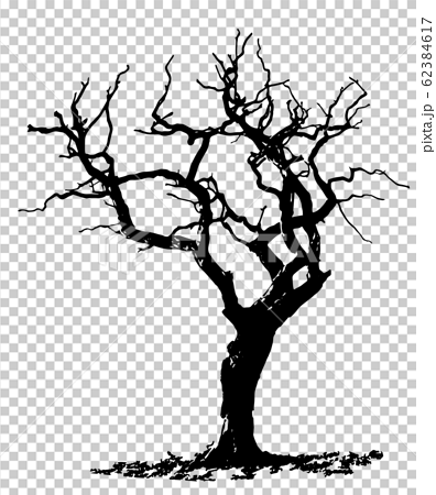 cool tree silhouettes