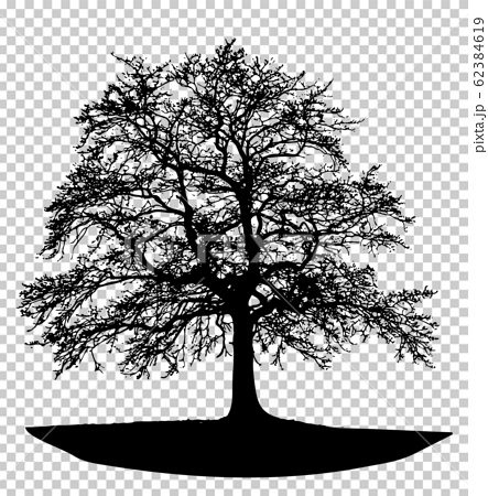 シルエット 植物 木のシルエット 枯れ木02のイラスト素材
