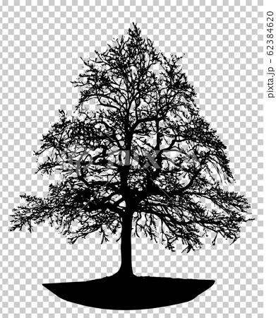 シルエット 植物 木のシルエット 枯れ木03のイラスト素材