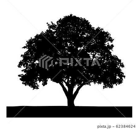 Silhouette Plant Tree Silhouette Big Tree 01 Stock Illustration